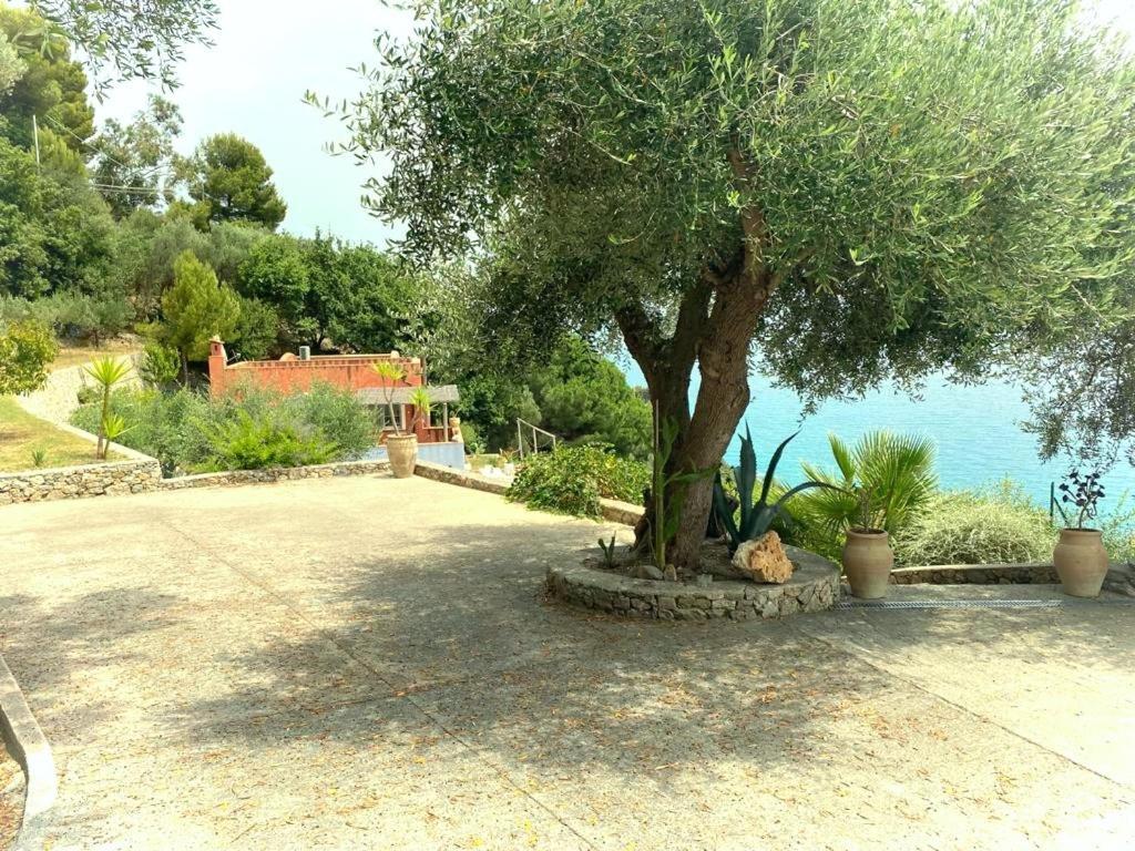 La Bouganvilla Charme & Relax Vista Mare Finale Ligure Luaran gambar